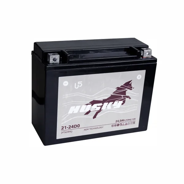 Аккумулятор HUSKY 24 Ач 320 А, обратная полярность, YTX24HL