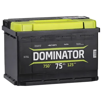 Аккумулятор DOMINATOR 75 Ач 750 А (EN), прямая полярность, LN3