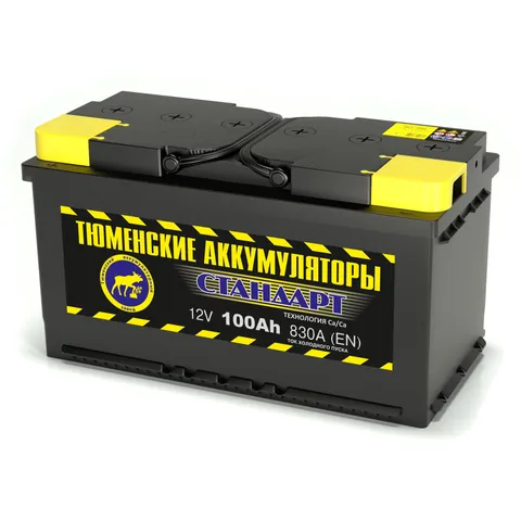 Аккумулятор ТЮМЕНСКИЕ АККУМУЛЯТОРЫ Standard 100 Ач 830 А (EN), прямая полярность, LN5